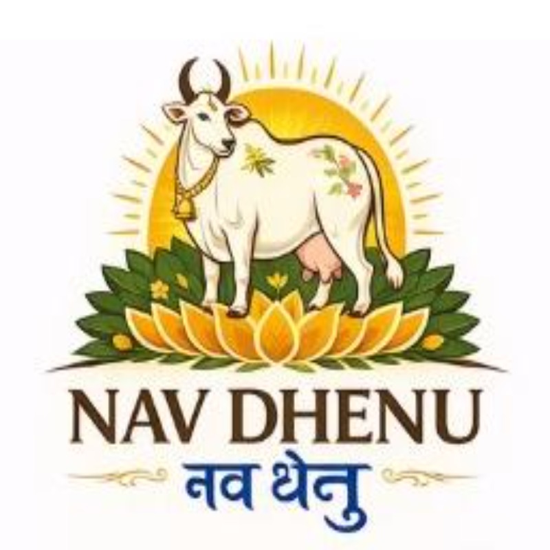 NavDhenu Kesar Flavoured Milk